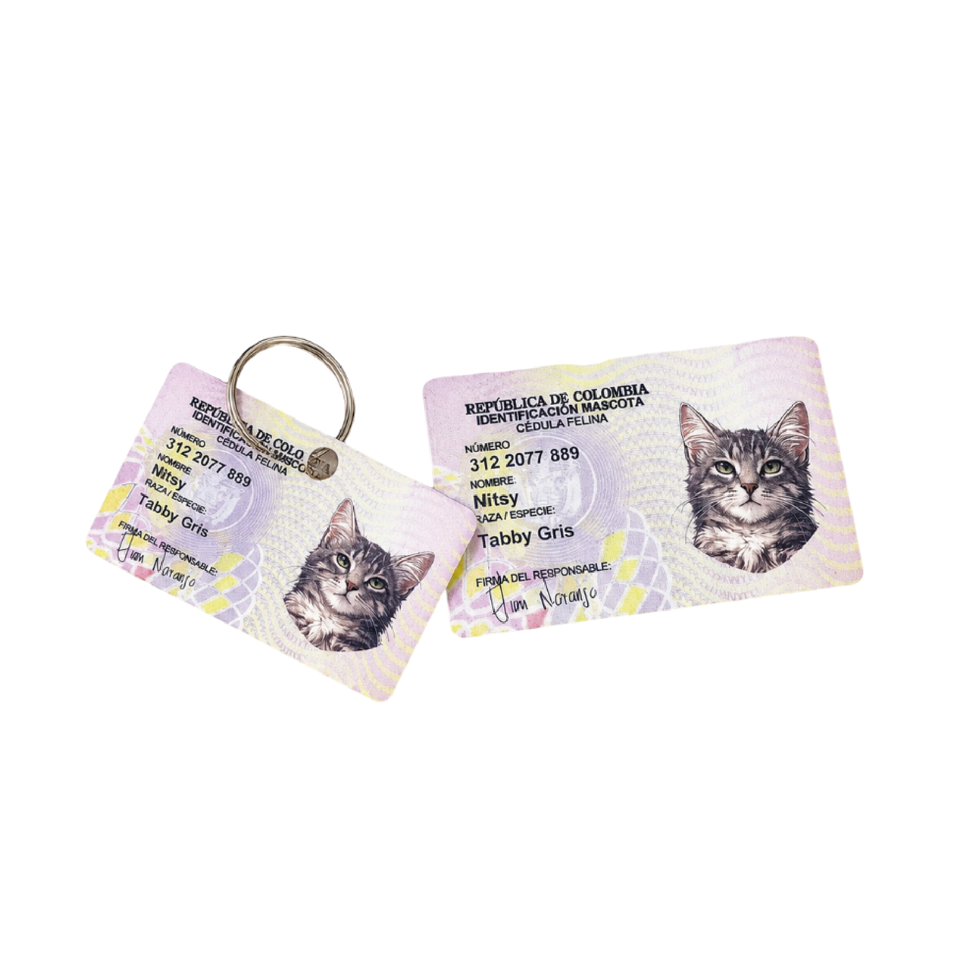 PETS ID